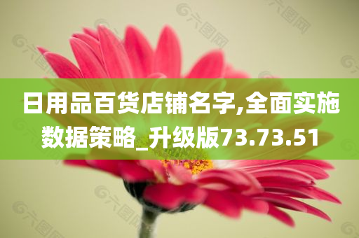 日用品百货店铺名字,全面实施数据策略_升级版73.73.51