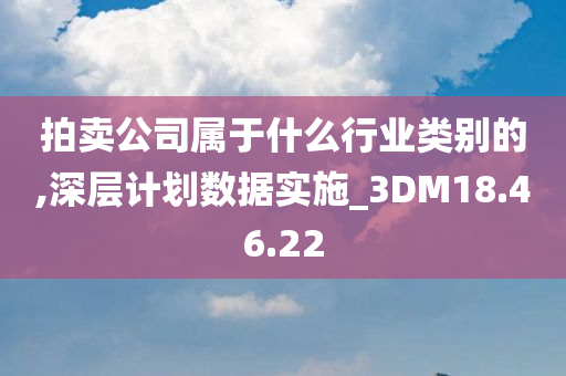 拍卖公司属于什么行业类别的,深层计划数据实施_3DM18.46.22