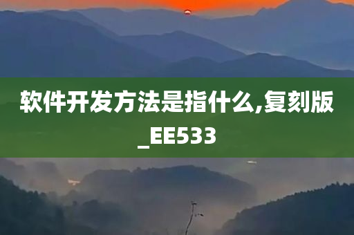 软件开发方法是指什么,复刻版_EE533