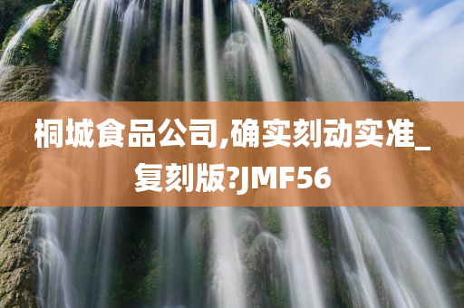 桐城食品公司,确实刻动实准_复刻版?JMF56