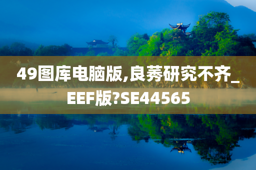 49图库电脑版,良莠研究不齐_EEF版?SE44565