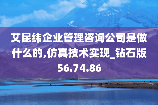 艾昆纬企业管理咨询公司是做什么的,仿真技术实现_钻石版56.74.86