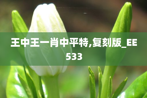 王中王一肖中平特,复刻版_EE533