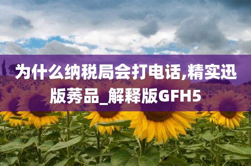 为什么纳税局会打电话,精实迅版莠品_解释版GFH5