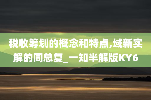 税收筹划的概念和特点,域新实解的同总复_一知半解版KY6