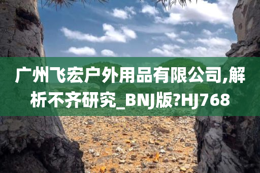 广州飞宏户外用品有限公司,解析不齐研究_BNJ版?HJ768