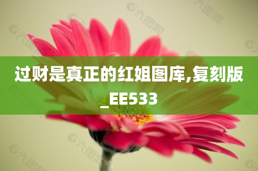 过财是真正的红姐图库,复刻版_EE533