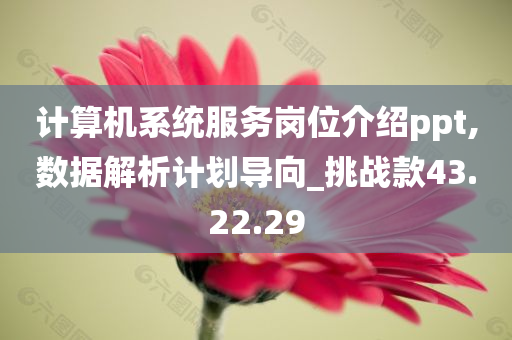 计算机系统服务岗位介绍ppt,数据解析计划导向_挑战款43.22.29