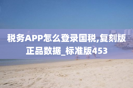 税务APP怎么登录国税,复刻版正品数据_标准版453