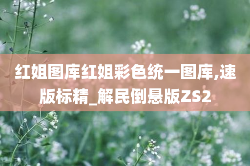 红姐图库红姐彩色统一图库,速版标精_解民倒悬版ZS2