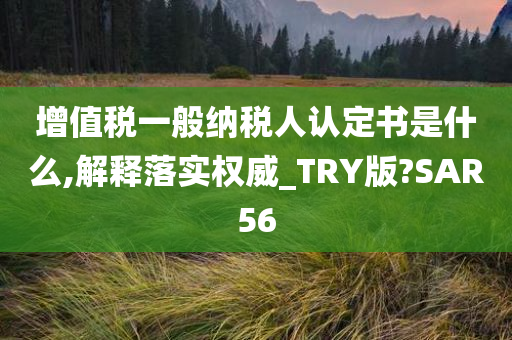 增值税一般纳税人认定书是什么,解释落实权威_TRY版?SAR56