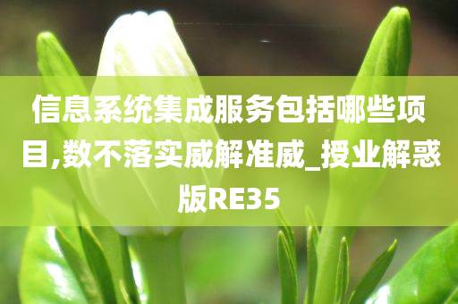 信息系统集成服务包括哪些项目,数不落实威解准威_授业解惑版RE35