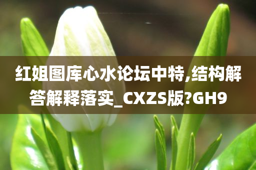 红姐图库心水论坛中特,结构解答解释落实_CXZS版?GH9