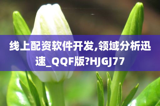 线上配资软件开发,领域分析迅速_QQF版?HJGJ77