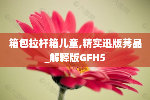 箱包拉杆箱儿童,精实迅版莠品_解释版GFH5