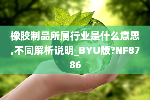 橡胶制品所属行业是什么意思,不同解析说明_BYU版?NF8786