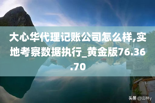 大心华代理记账公司怎么样,实地考察数据执行_黄金版76.36.70