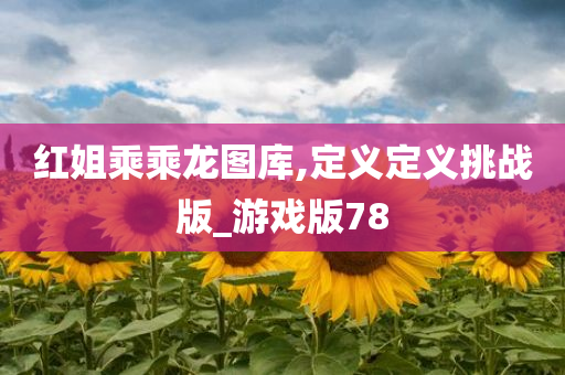 红姐乘乘龙图库,定义定义挑战版_游戏版78