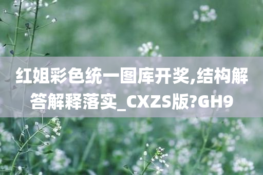 红姐彩色统一图库开奖,结构解答解释落实_CXZS版?GH9