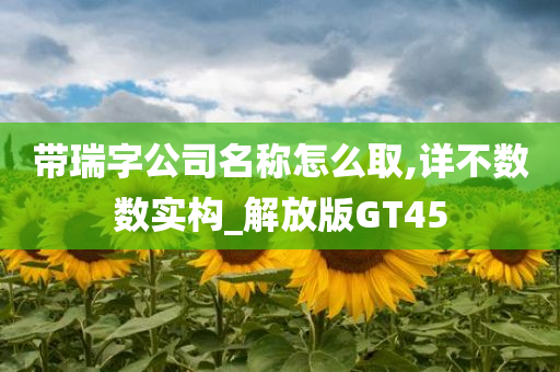 带瑞字公司名称怎么取,详不数数实构_解放版GT45