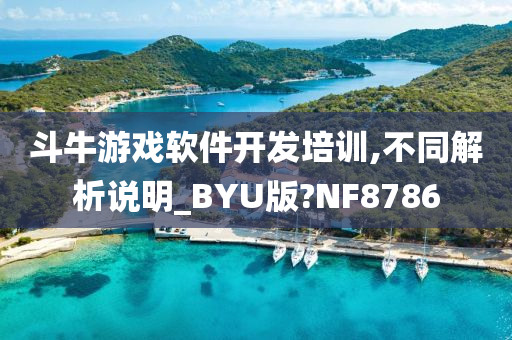 斗牛游戏软件开发培训,不同解析说明_BYU版?NF8786