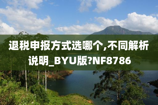 退税申报方式选哪个,不同解析说明_BYU版?NF8786