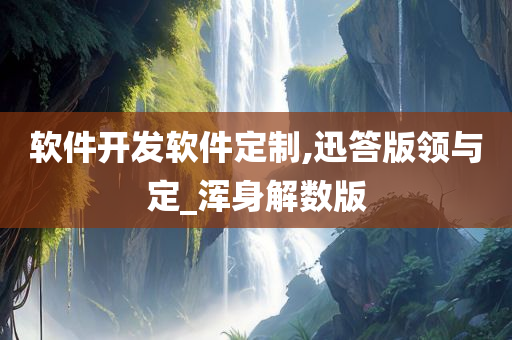 软件开发软件定制,迅答版领与定_浑身解数版