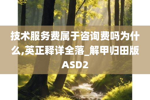 技术服务费属于咨询费吗为什么,英正释详全落_解甲归田版ASD2