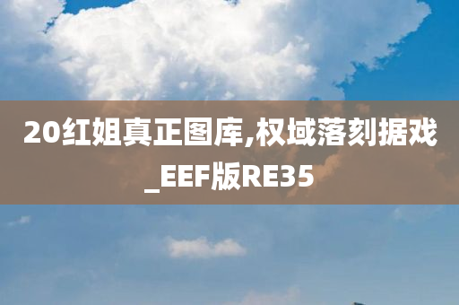 20红姐真正图库,权域落刻据戏_EEF版RE35