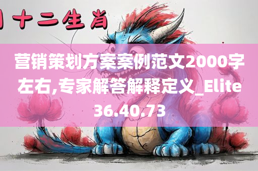 营销策划方案案例范文2000字左右,专家解答解释定义_Elite36.40.73