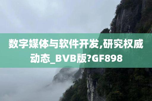 数字媒体与软件开发,研究权威动态_BVB版?GF898