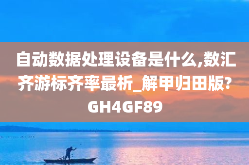 自动数据处理设备是什么,数汇齐游标齐率最析_解甲归田版?GH4GF89