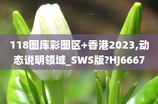 118图库彩图区+香港2023,动态说明领域_SWS版?HJ6667