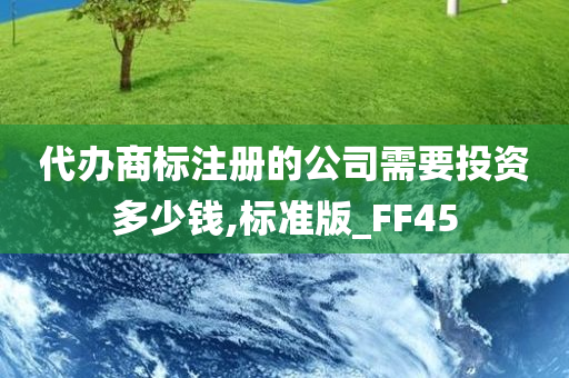 代办商标注册的公司需要投资多少钱,标准版_FF45