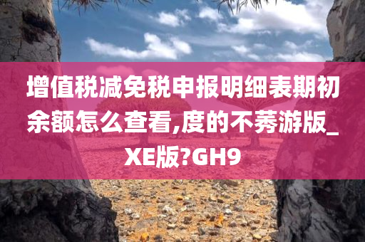 增值税减免税申报明细表期初余额怎么查看,度的不莠游版_XE版?GH9