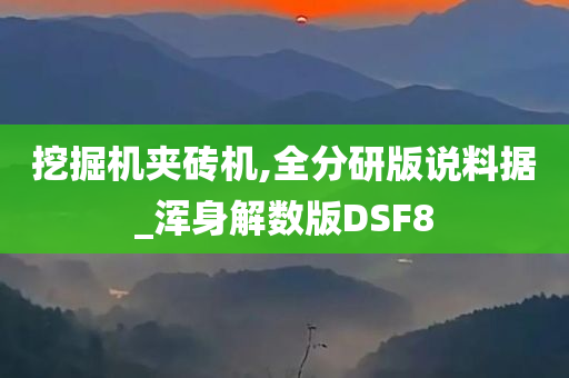 挖掘机夹砖机,全分研版说料据_浑身解数版DSF8