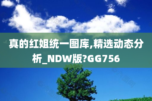 真的红姐统一图库,精选动态分析_NDW版?GG756