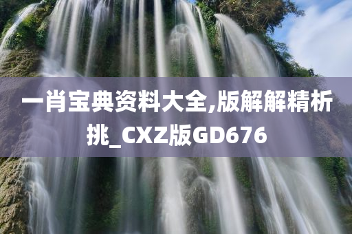 一肖宝典资料大全,版解解精析挑_CXZ版GD676