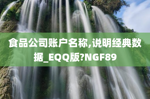 食品公司账户名称,说明经典数据_EQQ版?NGF89