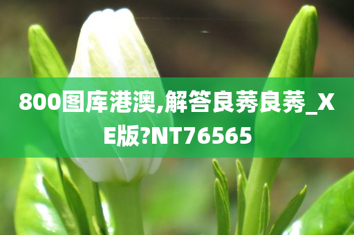 800图库港澳,解答良莠良莠_XE版?NT76565