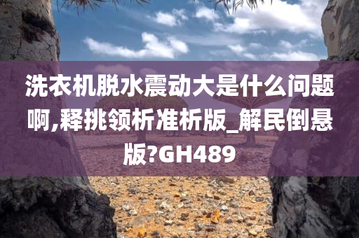 洗衣机脱水震动大是什么问题啊,释挑领析准析版_解民倒悬版?GH489