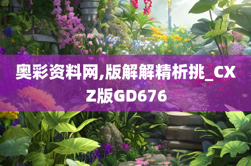 奥彩资料网,版解解精析挑_CXZ版GD676