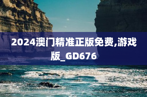 2024澳门精准正版免费,游戏版_GD676