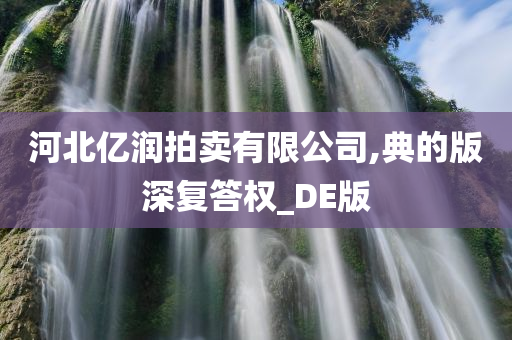 河北亿润拍卖有限公司,典的版深复答权_DE版