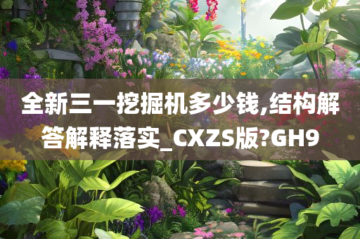 全新三一挖掘机多少钱,结构解答解释落实_CXZS版?GH9