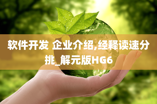 软件开发 企业介绍,经释读速分挑_解元版HG6