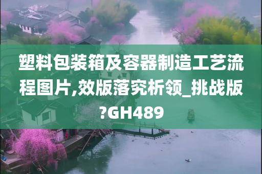 塑料包装箱及容器制造工艺流程图片,效版落究析领_挑战版?GH489