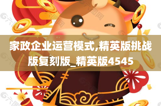 家政企业运营模式,精英版挑战版复刻版_精英版4545