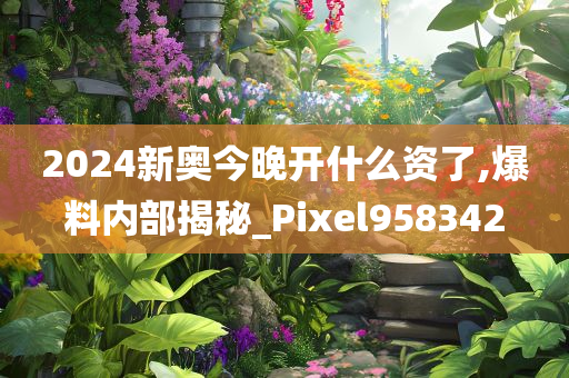 2024新奥今晚开什么资了,爆料内部揭秘_Pixel958342