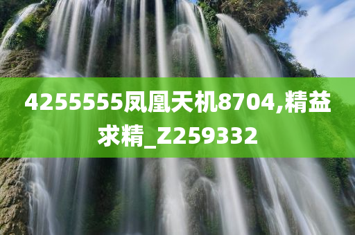 4255555凤凰天机8704,精益求精_Z259332